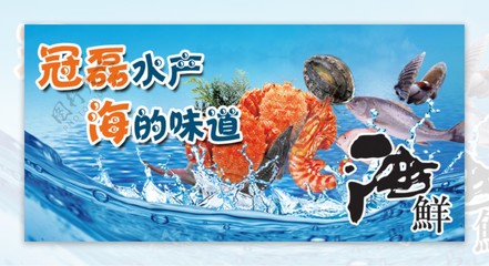 海洋之珍 水产品的丰美与世界