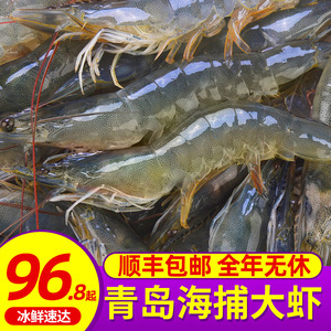 鲜活海白虾 海洋纯鲜直抵餐桌