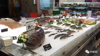 超实用的海鲜水产品陈列技巧，轻松提升销量与保鲜度