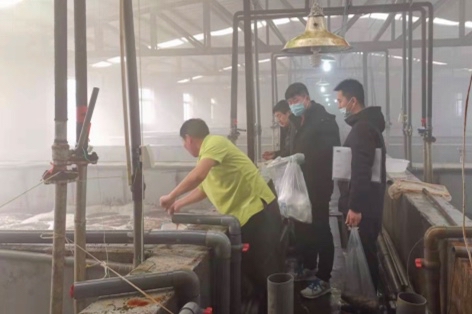 20批次全部合格！滨州市开展冬季工厂化养殖水产品监督抽查，守护舌尖安全