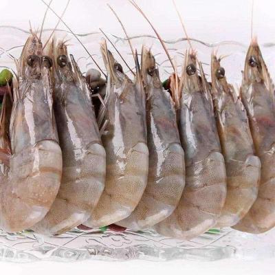 水产品进口全攻略 必备资料与操作流程详解