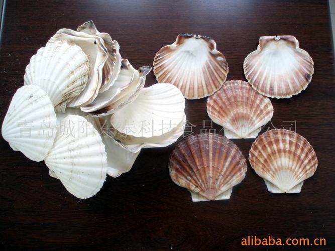 农业 鲜活水产品 贝类 厂家产品